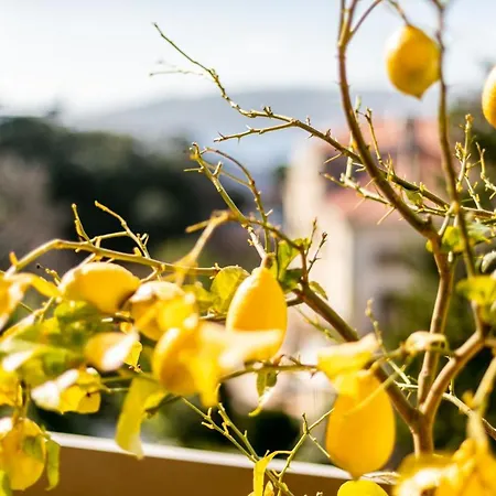 Le Chateau De La Pinede Ap4198 By Riviera Homes * Juan-les-Pins