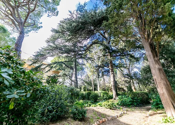 Le Chateau De La Pinede Ap4198 By Riviera Homes Apartment